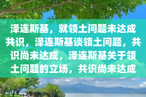 泽连斯基，就领土问题未达成共识，泽连斯基谈领土问题，共识尚未达成，泽连斯基关于领土问题的立场，共识尚未达成