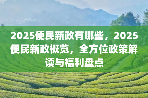 2025便民新政有哪些，2025便民新政概览，全方位政策解读与福利盘点
