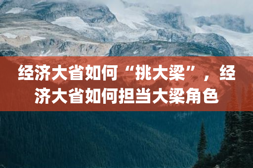 经济大省如何“挑大梁”，经济大省如何担当大梁角色