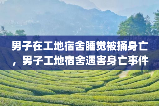 男子在工地宿舍睡觉被捅身亡，男子工地宿舍遇害身亡事件