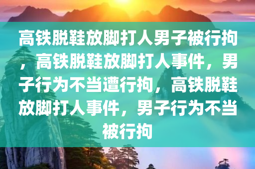 高铁脱鞋放脚打人男子被行拘，高铁脱鞋放脚打人事件，男子行为不当遭行拘，高铁脱鞋放脚打人事件，男子行为不当被行拘