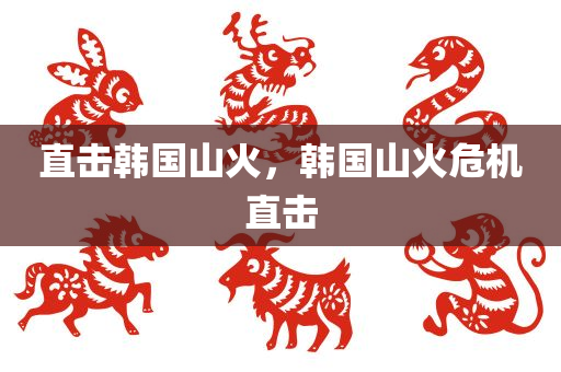 直击韩国山火，韩国山火危机直击