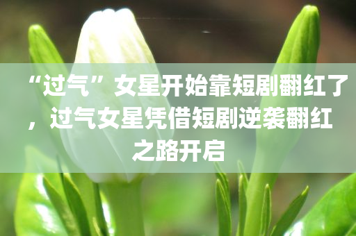 “过气”女星开始靠短剧翻红了，过气女星凭借短剧逆袭翻红之路开启