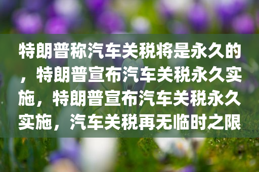 特朗普称汽车关税将是永久的，特朗普宣布汽车关税永久实施，特朗普宣布汽车关税永久实施，汽车关税再无临时之限
