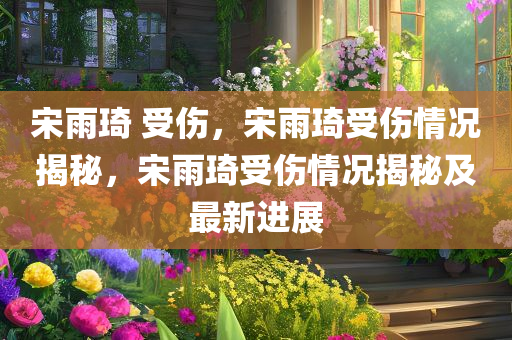 宋雨琦 受伤，宋雨琦受伤情况揭秘，宋雨琦受伤情况揭秘及最新进展
