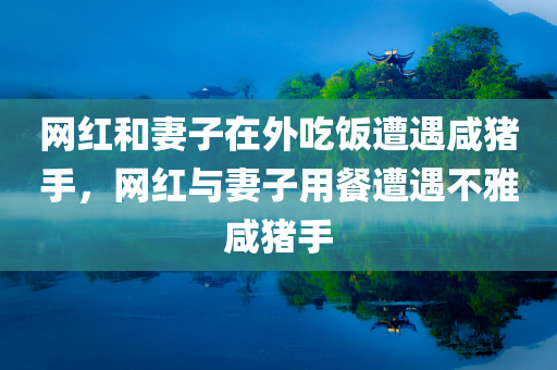 网红和妻子在外吃饭遭遇咸猪手，网红与妻子用餐遭遇不雅咸猪手