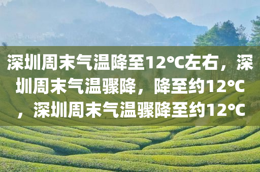 深圳周末气温降至12℃左右，深圳周末气温骤降，降至约12℃，深圳周末气温骤降至约12℃