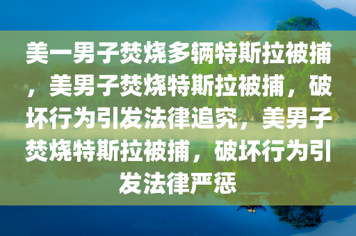 美一男子焚烧多辆特斯拉被捕，美男子焚烧特斯拉被捕，破坏行为引发法律追究，美男子焚烧特斯拉被捕，破坏行为引发法律严惩