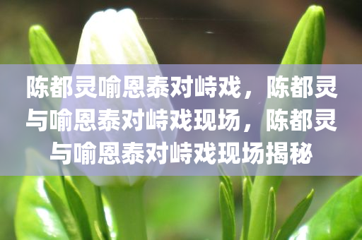 陈都灵喻恩泰对峙戏，陈都灵与喻恩泰对峙戏现场，陈都灵与喻恩泰对峙戏现场揭秘
