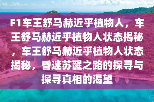 F1车王舒马赫近乎植物人，车王舒马赫近乎植物人状态揭秘，车王舒马赫近乎植物人状态揭秘，昏迷苏醒之路的探寻与探寻真相的渴望