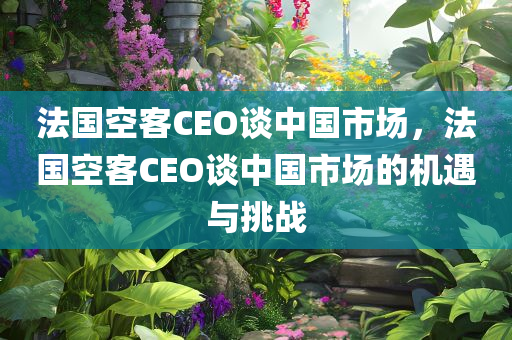 法国空客CEO谈中国市场，法国空客CEO谈中国市场的机遇与挑战