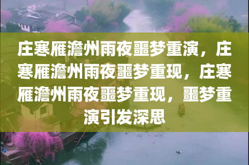 庄寒雁澹州雨夜噩梦重演，庄寒雁澹州雨夜噩梦重现，庄寒雁澹州雨夜噩梦重现，噩梦重演引发深思