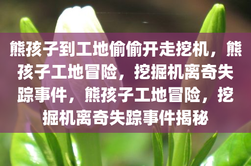 熊孩子到工地偷偷开走挖机，熊孩子工地冒险，挖掘机离奇失踪事件，熊孩子工地冒险，挖掘机离奇失踪事件揭秘