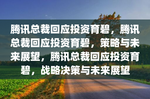 腾讯总裁回应投资育碧，腾讯总裁回应投资育碧，策略与未来展望，腾讯总裁回应投资育碧，战略决策与未来展望