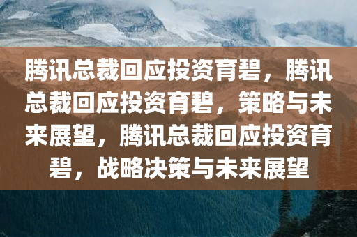 腾讯总裁回应投资育碧，腾讯总裁回应投资育碧，策略与未来展望，腾讯总裁回应投资育碧，战略决策与未来展望