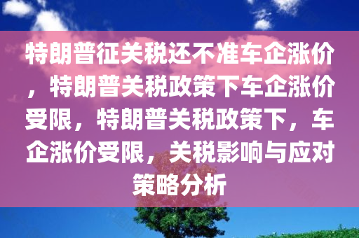 特朗普征关税还不准车企涨价，特朗普关税政策下车企涨价受限，特朗普关税政策下，车企涨价受限，关税影响与应对策略分析