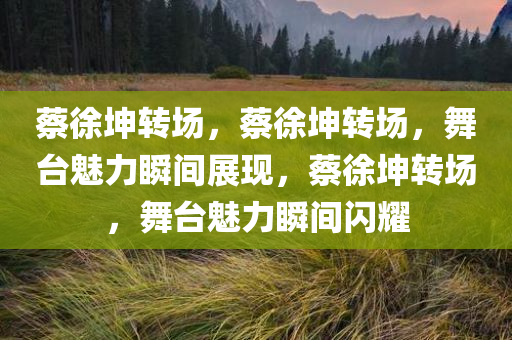 蔡徐坤转场，蔡徐坤转场，舞台魅力瞬间展现，蔡徐坤转场，舞台魅力瞬间闪耀
