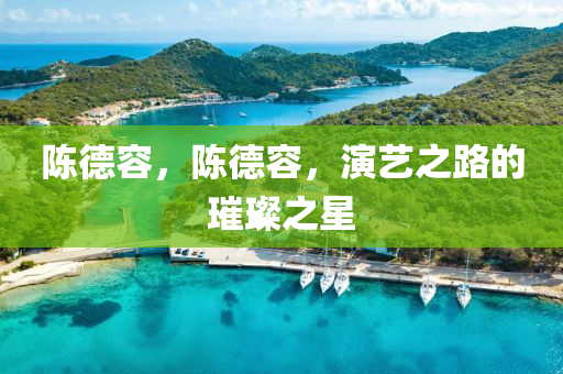 陈德容，陈德容，演艺之路的璀璨之星