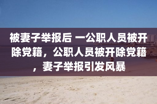 被妻子举报后 一公职人员被开除党籍，公职人员被开除党籍，妻子举报引发风暴