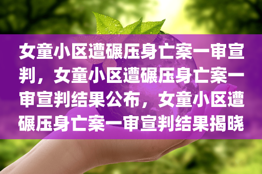 女童小区遭碾压身亡案一审宣判，女童小区遭碾压身亡案一审宣判结果公布，女童小区遭碾压身亡案一审宣判结果揭晓