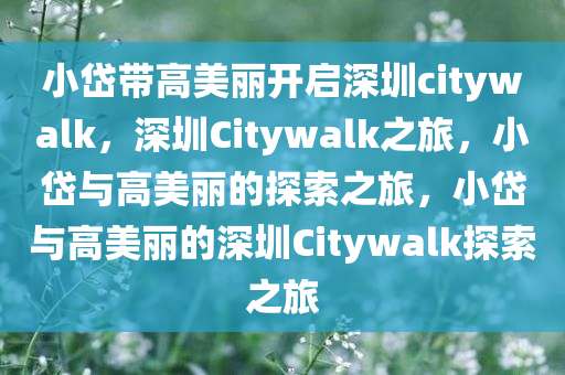 小岱带高美丽开启深圳citywalk，深圳Citywalk之旅，小岱与高美丽的探索之旅，小岱与高美丽的深圳Citywalk探索之旅