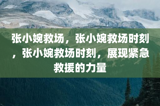 张小婉救场，张小婉救场时刻，张小婉救场时刻，展现紧急救援的力量