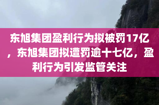 东旭集团盈利行为拟被罚17亿，东旭集团拟遭罚逾十七亿，盈利行为引发监管关注