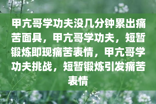 甲亢哥学功夫没几分钟累出痛苦面具，甲亢哥学功夫，短暂锻炼即现痛苦表情，甲亢哥学功夫挑战，短暂锻炼引发痛苦表情