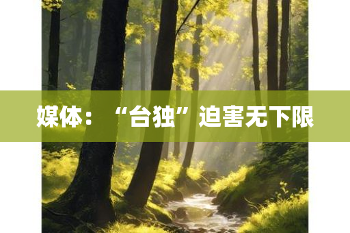 媒体：“台独”迫害无下限