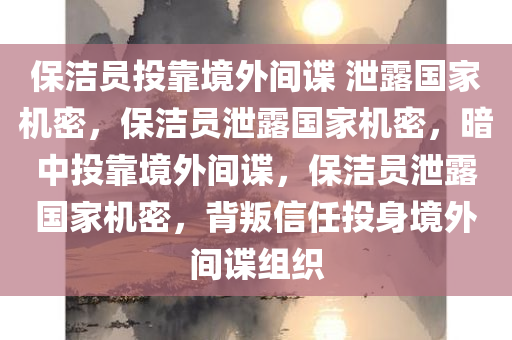 保洁员投靠境外间谍 泄露国家机密，保洁员泄露国家机密，暗中投靠境外间谍，保洁员泄露国家机密，背叛信任投身境外间谍组织
