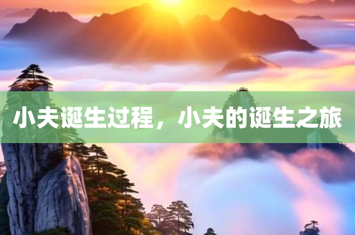 小夫诞生过程，小夫的诞生之旅