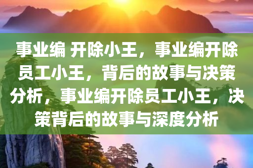 事业编 开除小王，事业编开除员工小王，背后的故事与决策分析，事业编开除员工小王，决策背后的故事与深度分析