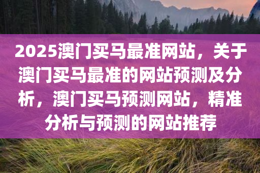 2025澳门买马最准网站，关于澳门买马最准的网站预测及分析，澳门买马预测网站，精准分析与预测的网站推荐