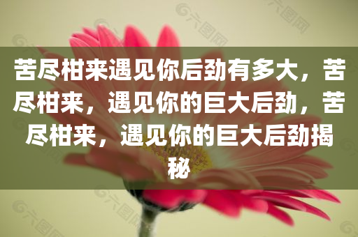 苦尽柑来遇见你后劲有多大，苦尽柑来，遇见你的巨大后劲，苦尽柑来，遇见你的巨大后劲揭秘