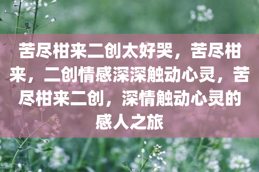 苦尽柑来二创太好哭，苦尽柑来，二创情感深深触动心灵，苦尽柑来二创，深情触动心灵的感人之旅