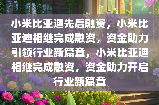 小米比亚迪先后融资，小米比亚迪相继完成融资，资金助力引领行业新篇章，小米比亚迪相继完成融资，资金助力开启行业新篇章