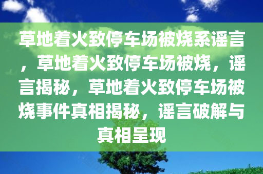 草地着火致停车场被烧系谣言，草地着火致停车场被烧，谣言揭秘，草地着火致停车场被烧事件真相揭秘，谣言破解与真相呈现