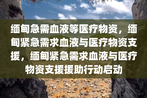 缅甸急需血液等医疗物资，缅甸紧急需求血液与医疗物资支援，缅甸紧急需求血液与医疗物资支援援助行动启动