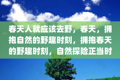 春天人就应该去野，春天，拥抱自然的野趣时刻，拥抱春天的野趣时刻，自然探险正当时