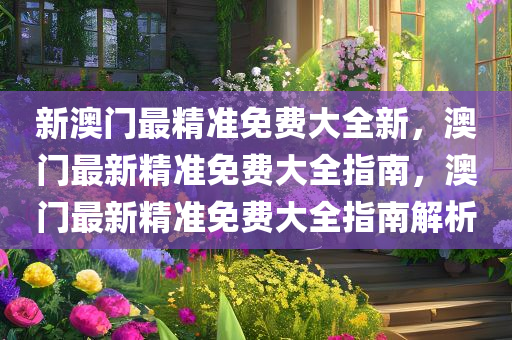 新澳门最精准免费大全新，澳门最新精准免费大全指南，澳门最新精准免费大全指南解析