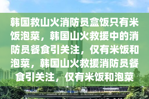 韩国救山火消防员盒饭只有米饭泡菜，韩国山火救援中的消防员餐食引关注，仅有米饭和泡菜，韩国山火救援消防员餐食引关注，仅有米饭和泡菜