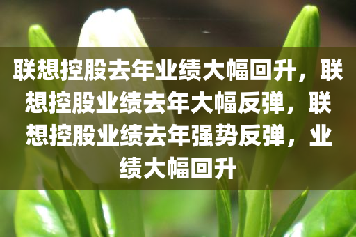 联想控股去年业绩大幅回升，联想控股业绩去年大幅反弹，联想控股业绩去年强势反弹，业绩大幅回升