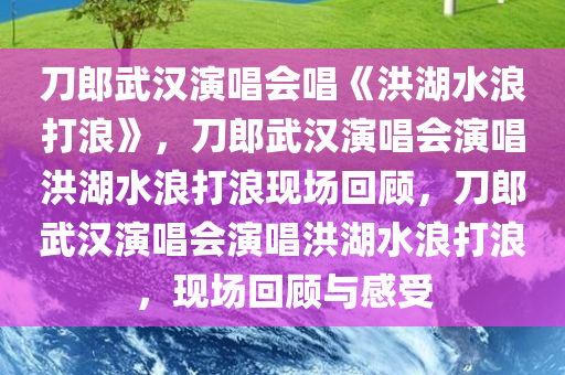 刀郎武汉演唱会唱《洪湖水浪打浪》，刀郎武汉演唱会演唱洪湖水浪打浪现场回顾，刀郎武汉演唱会演唱洪湖水浪打浪，现场回顾与感受