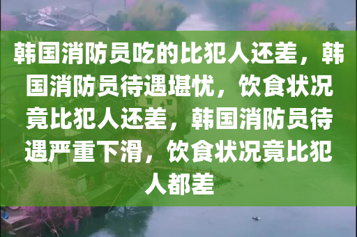 韩国消防员吃的比犯人还差，韩国消防员待遇堪忧，饮食状况竟比犯人还差，韩国消防员待遇严重下滑，饮食状况竟比犯人都差