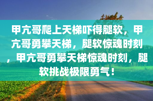 甲亢哥爬上天梯吓得腿软，甲亢哥勇攀天梯，腿软惊魂时刻，甲亢哥勇攀天梯惊魂时刻，腿软挑战极限勇气！