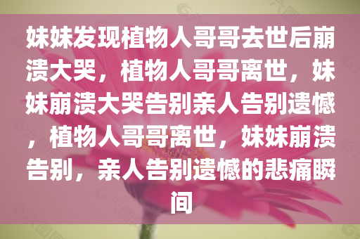 妹妹发现植物人哥哥去世后崩溃大哭，植物人哥哥离世，妹妹崩溃大哭告别亲人告别遗憾，植物人哥哥离世，妹妹崩溃告别，亲人告别遗憾的悲痛瞬间