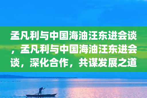 孟凡利与中国海油汪东进会谈，孟凡利与中国海油汪东进会谈，深化合作，共谋发展之道