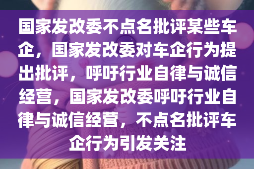 国家发改委不点名批评某些车企，国家发改委对车企行为提出批评，呼吁行业自律与诚信经营，国家发改委呼吁行业自律与诚信经营，不点名批评车企行为引发关注