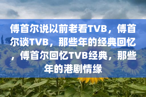 傅首尔说以前老看TVB，傅首尔谈TVB，那些年的经典回忆，傅首尔回忆TVB经典，那些年的港剧情缘