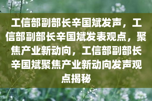 工信部副部长辛国斌发声，工信部副部长辛国斌发表观点，聚焦产业新动向，工信部副部长辛国斌聚焦产业新动向发声观点揭秘